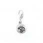 Preview: silver charm om