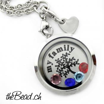 " my family " la vie locket