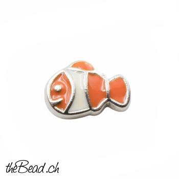 CLOWNFISCH - zum Einlegen in LA VIE Medaillons