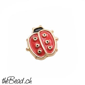 MARIENKÄFER, kleiner Glücksbringer, goldfarbene Füsschen