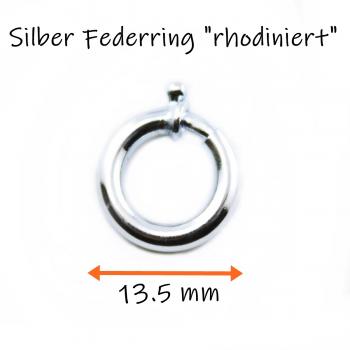 Silber Verschlussring Federring